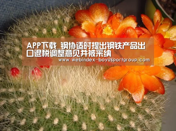 iOS下载