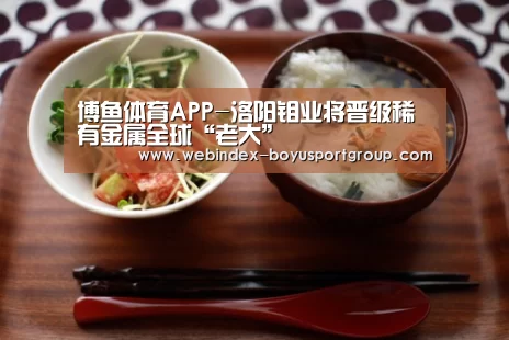 博鱼体育APP-洛阳钼业将晋级稀有金属全球“老大”(图3) APP下载